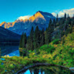 Meet your Posher, Robert